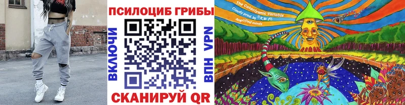 купить   Абакан  Галлюциногенные грибы Psilocybe 